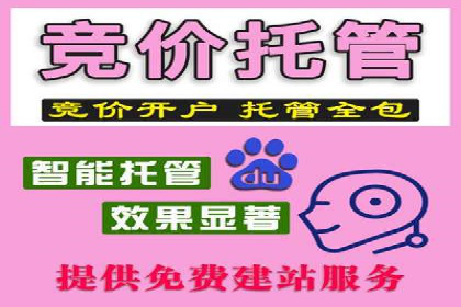 SEM竞价广告投放的五大成功案例分享